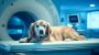 Pet-ct Scanner Device Market