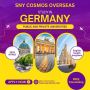 Top Overseas Education Consultants Near You - SNY Cosmos