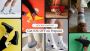 Premium Socks for Men & Women | Comfort & Style at Socks 
