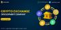 Transform Ideas into Profitable Platforms with a Custom Cryp