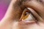 softlenses