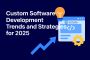 Custom Software Development: Your Ultimate 2025 Guide 