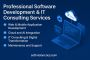 Professional Software Development & IT Consulting Services