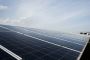 Affordable Solar Panels in Sydney | Start Saving Today