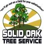 Solid Oak Tree Service