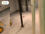 Wayne’s Trusted Home Cleaning Experts | Reliable & Affordabl