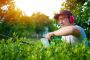  Trusted Mosquito Control Long Island NY – Enjoy a Bug-Free 