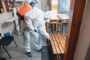 Expert Professional Bed Bug Treatment for a Pest-Free Home