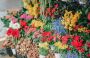 Best Florida Flower Delivery Services 2023- Online Flower De