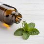 Best Peppermint oil suppliers in India