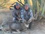 Experience an Unforgettable Guided Mule Deer Hunt in Sonora