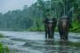 Ultimate Kerala Tour Packages for Family - Fun and Relaxatio