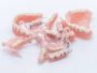 Dentures Leigh-on-Sea