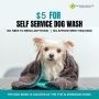 Self Service Dog Wash Self Service Dog Wash