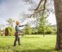 Trusted Tree Service in Decatur – Expert Tree Care Solutions