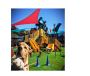 Have Your Pets Look Adorable With Dog Grooming South Bay