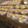 Vegetable Oils for sale