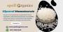 Unlock the Power of Glycerol Monostearate (GMS) 