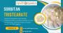 Sorbitan Tristearate for Premium Food and Skincare Products
