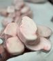 lamb tail fat for sale usa  sheep tail fat for sale