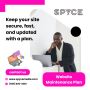 Reliable Website Maintenance Plan & Hosting Services