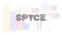 Expert Website SEO Services in Charlotte, NC – Powered by Sp