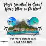 Flight Cancelled by Spirit? Here’s What to Do Next! Flight Cancelled by Spirit? Here’s What to Do Next!