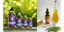 Nourish Your Skin with CBD Body Oil