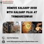 Remove Kalsarp Dosh with Kalsarp Puja at Trimbakeshwar