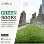 Green roofs Green roofs