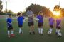 Training Management System for Sports Admins