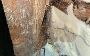 UK-Wide Spray Foam Insulation Removal Services for Concerned