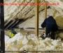 Get Professional Spray Foam Removal Services!