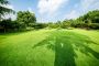 Reliable Lawn Service in Westerville, Ohio – Book Today!