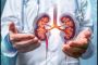 Ayurvedic Kidney Treatment: A Natural Approach to Wellness