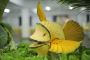Wedding Caterers in Bangalore - Best Veg Catering Services N