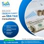Professional Tax Filing Services by SBA Tax Consultants in t