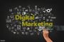 Search Engine Optimization Service, On page seo services, On