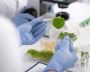 Biotechnology Colleges in Uttar Pradesh Biotechnology Colleges in Uttar Pradesh