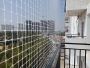 Bird Spikes Safety Nets in Hyderabad Bird Spikes Safety Nets in Hyderabad