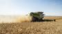 Explore Rewarding Backpacker Jobs in Australia's Agricultura