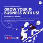 White Label WordPress Development Services | Stellites