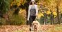 Sit Means Sit North Houston Dog Training
