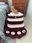 Best Dog Ramps & Pet Stairs for Small Dogs | Safe Bed & Couc