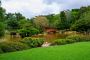 Top New Jersey Landscape Plants for Every Season