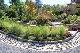 Professional Plant Installation Services – Greener Spaces