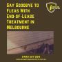 Say Goodbye to Fleas With End-of-Lease Treatment in Melbourn