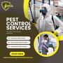 Reliable Pest Control Services in Keysborough
