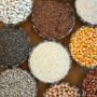 High-Quality Indian Grains Exporter | Strivex Global