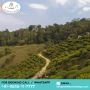DARJEELING & GANGTOK TOUR PACKAGE- 6 Nights 7 Days